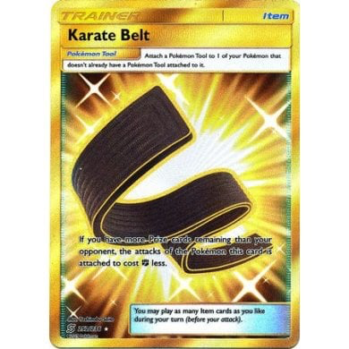 SM Unified Minds 252/236 Karate Belt